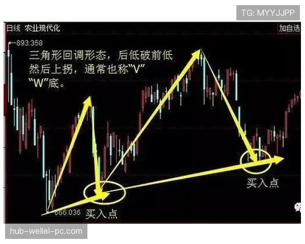 L组小组第一赔率与概率分析